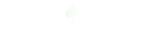 ACE Environmental Services Logo