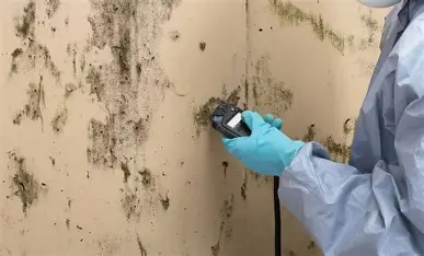 Mold testing